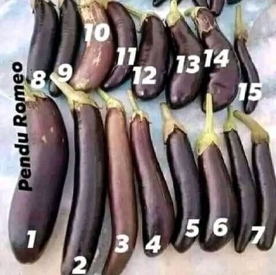 Estoy en República Dominicana ou menm ki renmen pran Yon bon plimen