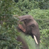 DFO Angul (@dfo_angul) 's Twitter Profile Photo DFO Angul (@dfo_angul) 's Twitter Profile Photo