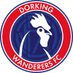 Dorking Wanderers FC (@DorkingWDRS) Twitter profile photo