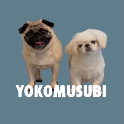 yokomu_subi Profile Picture