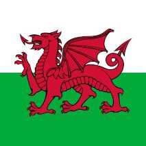 We promote the culture, language and heritage of the Welsh on Merseyside. Rydyn ni'n hybu diwylliant, iaith ac etifeddiaeth Cymry Glannau Mersi.