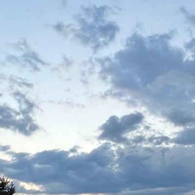 s_yzuj's profile picture. 