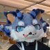 猫白 (@twtbptwt) Twitter profile photo 猫白 (@twtbptwt) Twitter profile photo