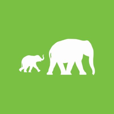 elephantfamily Profile Picture