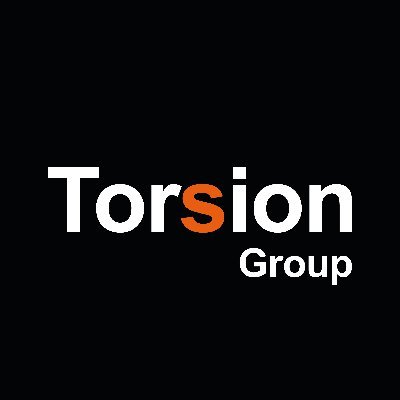 TorsionGroup Profile Picture