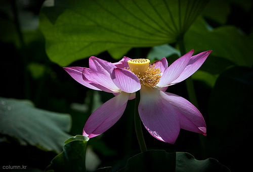 borimundi79's profile picture. 