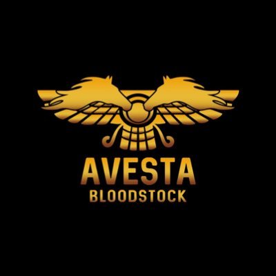 Jimmy Unwala of Avesta Bloodstock offers Bloodstock Consulting, Trading and Portfolio Management Services