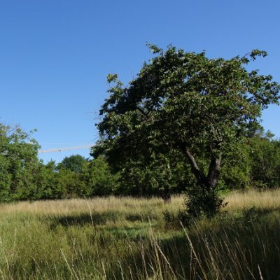 Mobilisation citoyenne pour sauver un espace naturel de 3 hectares menacé de destruction à Dijon. Non au béton là où coule le Suzon !