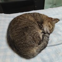 名無し (@u3v4wvjzqgbtpv3) 's Twitter Profile