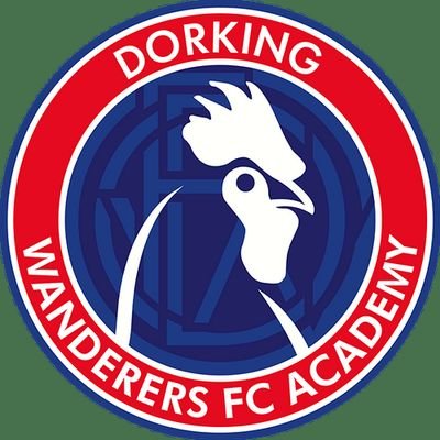 Dorking Wanderers Academy