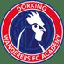 Dorking Wanderers Academy (@academy_dwfc) Twitter profile photo