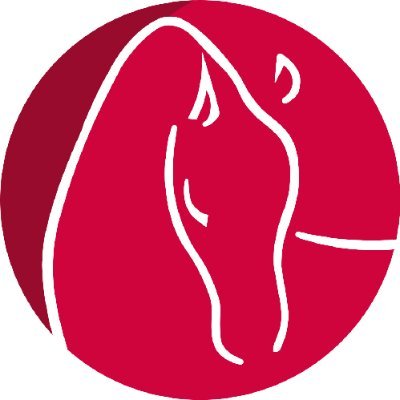 Le média des courses de galop. 
France Sire TV, the first web TV dedicated to the Gallop in the world ! News, reports and Live events.