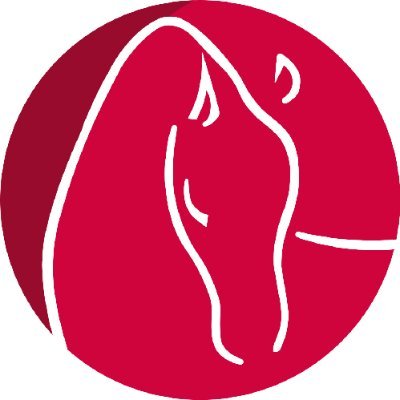 Le média des courses de galop.
France Sire TV, the first web TV dedicated to the Gallop in the world ! News, reports and Live events.