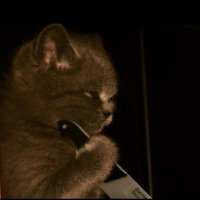 ugi (@ugivalorant) Twitter profile photo