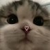 JOAN | sunki au 📌 (@sunkitale) Twitter profile photo JOAN | sunki au 📌 (@sunkitale) Twitter profile photo