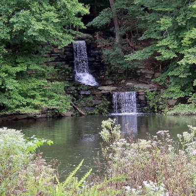 Multiple trails, streams, a lake, and a waterfall, surrounded by woods and native plants.
