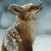 peter chamberlain (@pdc1956peter) Twitter profile photo peter chamberlain (@pdc1956peter) Twitter profile photo