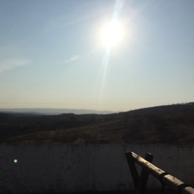 EduardoprofUFMG's profile picture. Professor e pesquisador. Apaixonado por lazer, esportes, cultura e livros.