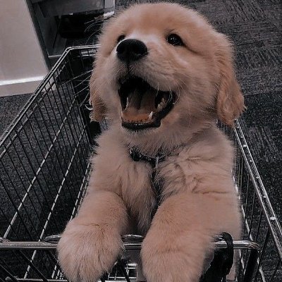 Blahet1's profile picture. Mechanical Engineer || Writer || Financial Advisor