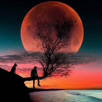 أقرأ واكتب كثيرا ولكن ليس عنك 🌹