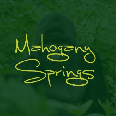 MahoganySprings Profile Picture