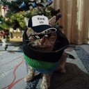 Szymon Dąbrowski - @SzymonD49703558 - Twitter