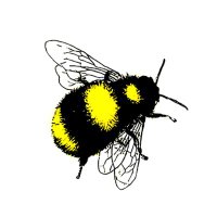 Buttle's PLC (@buttlesplc) 's Twitter Profile