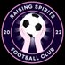Raising Spirits FC (@RaisingSpiritFC) Twitter profile photo