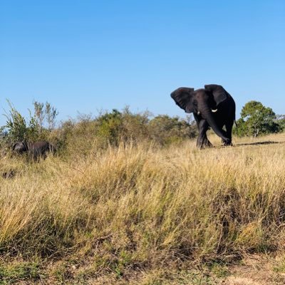 pmasuku's profile picture. faithful and hopeful