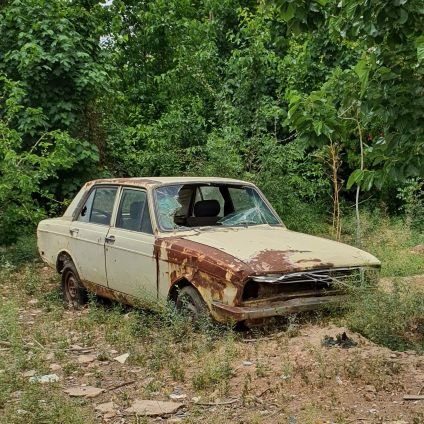 Peykan_ghoraze's profile picture. جنگل سوخته را وعده باران ندهید....