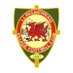 Llansantffraid FC (@st_ffraidfc) Twitter profile photo