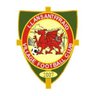 st_ffraidfc's profile picture. 🏴󠁧󠁢󠁷󠁬󠁳󠁿 Est. 2007 📍Treflan, Llansantffraid, SY22 6BJ ⚽️ MMP Central Wales League North