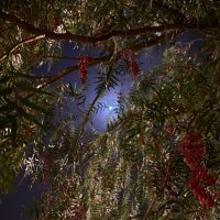 بدور (@bdwr39647679) Twitter profile photo