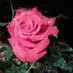 sandra bran (@sandrab74761051) Twitter profile photo sandra bran (@sandrab74761051) Twitter profile photo