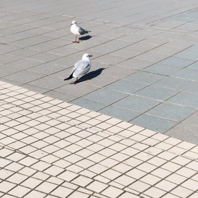 ᴀさんのプロフィール画像