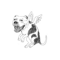 Pingo (@sonpingaderas) 's Twitter Profile