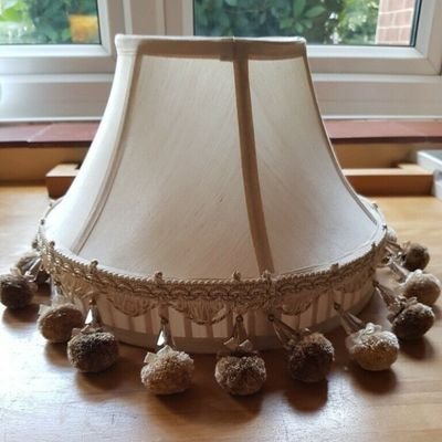 roger_farmboy's profile picture. 🏴󠁧󠁢󠁥󠁮󠁧󠁿