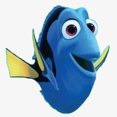 shinokona's profile picture. e