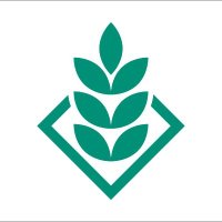 DSV United Kingdom (@dsvukseeds) 's Twitter Profile