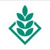 DSV United Kingdom (@dsvukseeds) Twitter profile photo DSV United Kingdom (@dsvukseeds) Twitter profile photo
