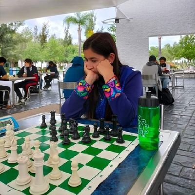Campeonatos del Mundo de Ajedrez - Chess and Mind
