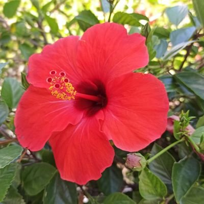 bd_sev's profile picture. 