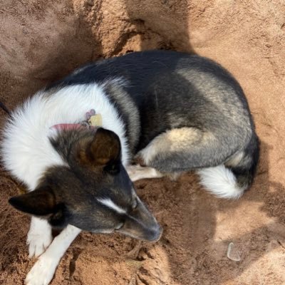 GlennCunningham's profile picture. owner of bnb enjoying all who travel east