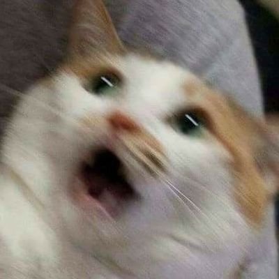 Aethwyse's profile picture. ts shi pmo me off