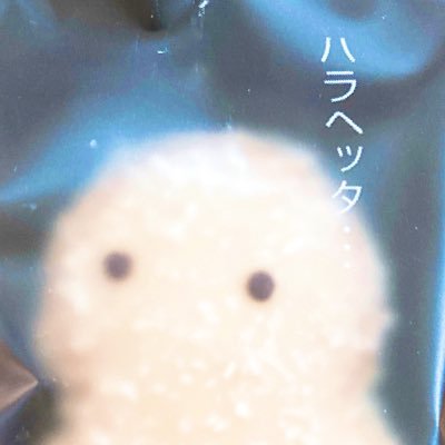 midoriさんのプロフィール画像