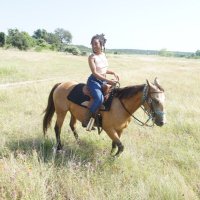 jady (@wheresjady) 's Twitter Profile Photo jady (@wheresjady) 's Twitter Profile Photo