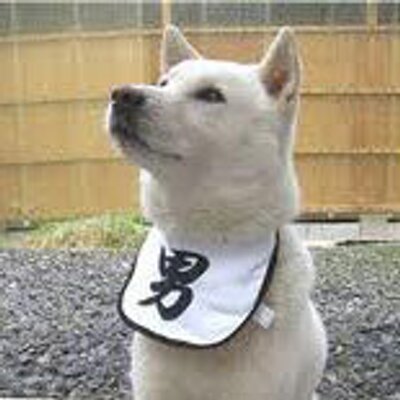 山口 勇気 Tontonmou Twitter 山口 勇気 Tontonmou Twitter