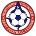 Northern Counties East Football League (@ncel) Twitter profile photo Northern Counties East Football League (@ncel) Twitter profile photo