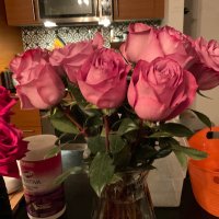 Lucy  (@nuttinliket) 's Twitter Profile Photo