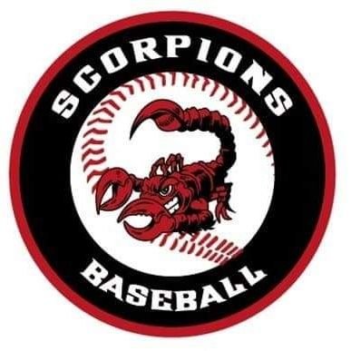 Hull Scorpions Profile